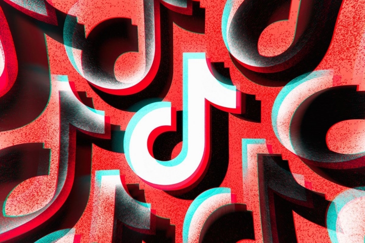 TikTok dianggap dapat mengambil data pribadi warga AS. (Foto: The Verge)