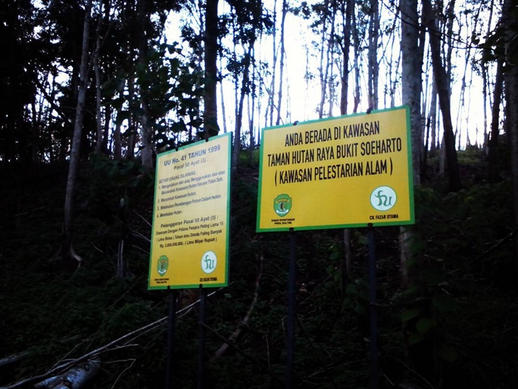 Bukit Soeharto. (Foto: instagram.com/noval_firmnsyah)