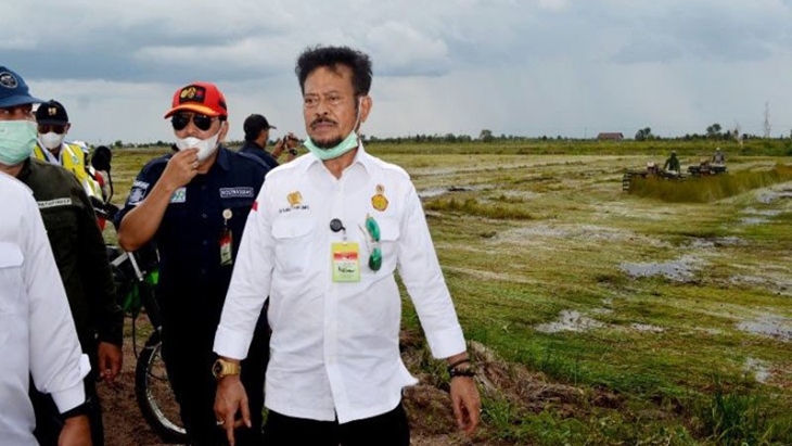 Lahan Food Estate Kalteng Rampung Akhir Desember