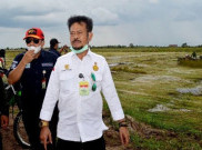 Lahan Food Estate Kalteng Rampung Akhir Desember