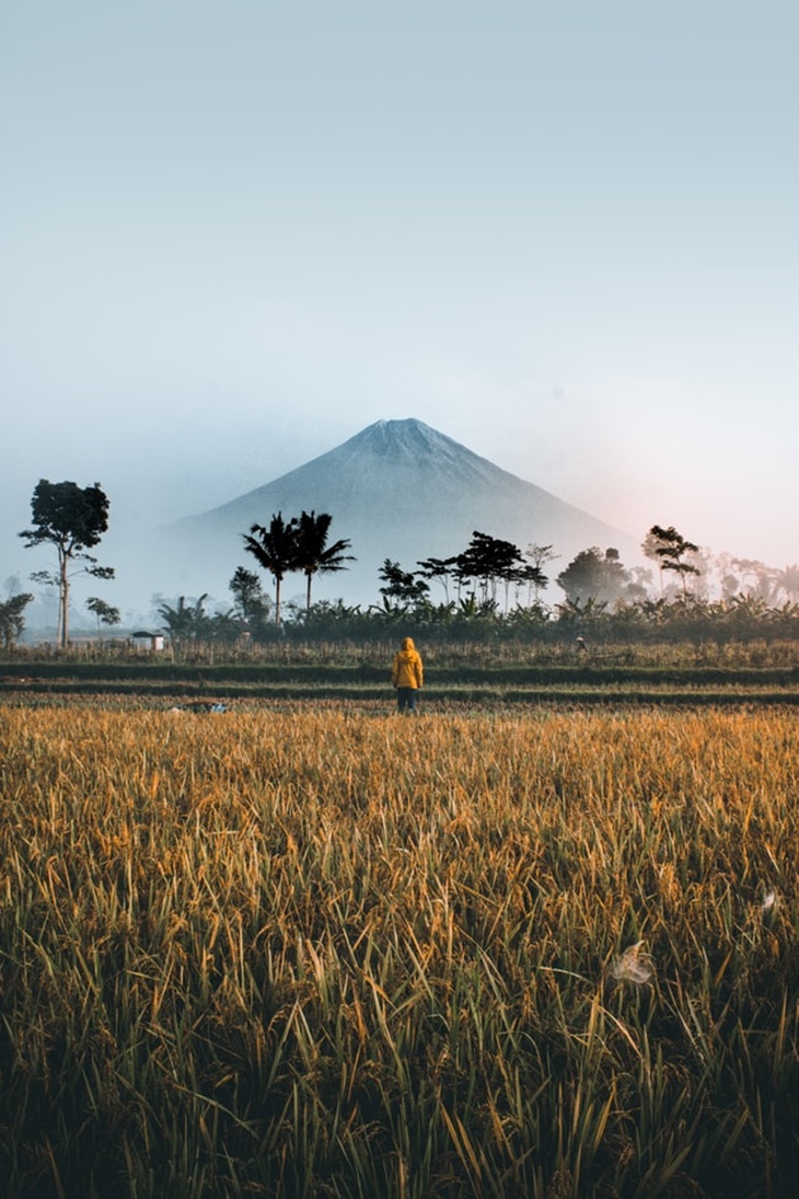 Kemenparekraf Perkuat Destinasi Desa Wisata