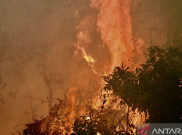 Hektaran Lahan Gambut di Jalan Nasional Banjarbaru Terbakar Hebat