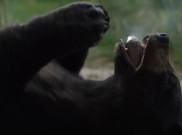Ketika Beruang Mengonsumsi Kokain di Film 'Cocaine Bear' 