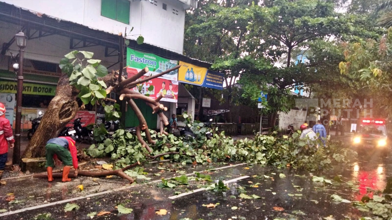 Hujan Deras Disertai Angin di Solo, 2 Mobil dan 1 Atap Rumah Rusak