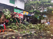 Hujan Deras Disertai Angin di Solo, 2 Mobil dan 1 Atap Rumah Rusak