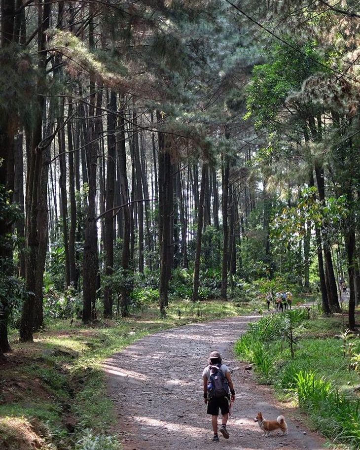 Gunung Pancar. (Foto: instagram.com/therescued_corgi)