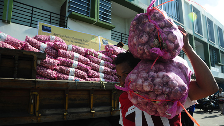 Harga Bawang Putih di Medan Berangsur Turun 