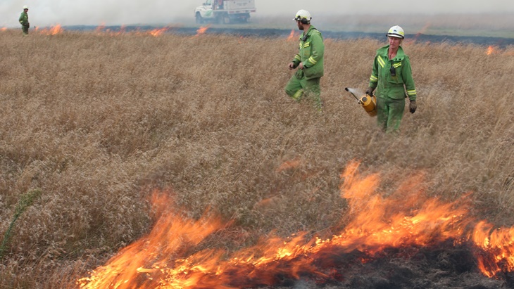 bakar