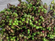 Andaliman, Bumbu Andalan Masakan Batak