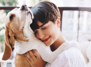 Hewan Peliharaan tak Selalu Bikin Lebih Bahagia