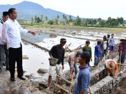 Program Padat Karya Tunai Dorong Daya Beli Masyarakat Desa