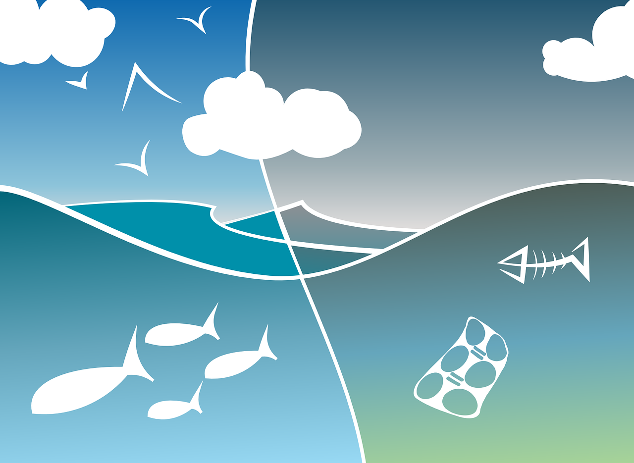 Sebagian besar mikroplastik berasal dari laut (Foto: pixabay/wildone)