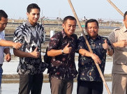 KKP Klaim Indonesia Telah Swasembada Garam