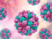 Mengenal Norovirus yang Tengah Mewabah di Tiongkok