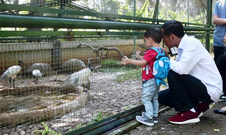 Jokowi Bantah Libatkan Jan Ethes untuk Kampanye, Dekat Sama Cucu kok Dilarang?