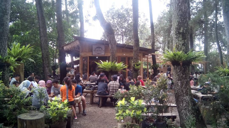 Ngopi di Hutan? Nih di Bandung Ada Tempatnya
