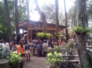 Ngopi di Hutan? Nih di Bandung Ada Tempatnya
