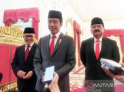 Jokowi Perintahkan Zulhas dan Hadi Tjahjanto Turun Langsung ke Lapangan