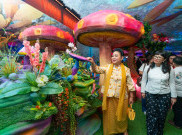 Pipilaka: Pertunjukan Imersif tentang Kebersamaan, Alam, dan Imajinasi