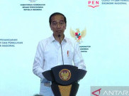 Jokowi Puji Sinergisitas Pusat dan Daerah dalam Penanganan COVID-19