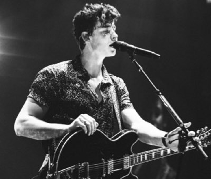 Shawn Mendes Kembali dengan Single In My Blood
