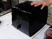 Manfaat Cincau Hitam untuk Hadapi Cuaca Ekstrem di Indonesia
