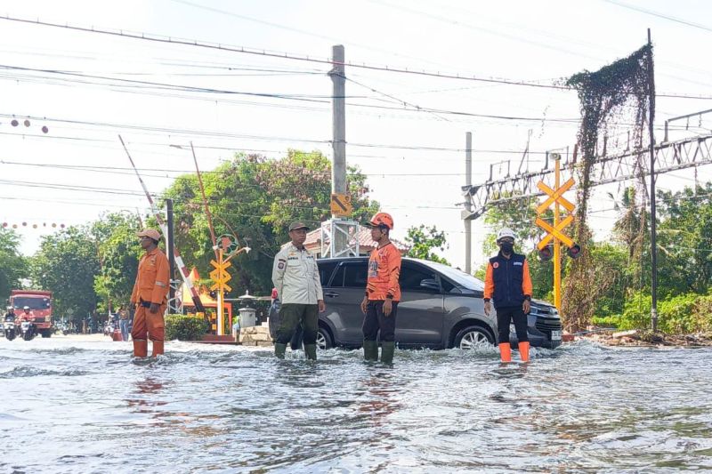 Banjir Rob di Jakarta Utara Makin Tinggi, Capai 40 Centimeter