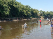 Sungai Bengawan Solo Tercemar Limbah Ciu, Warga Buru Ikan Mabuk