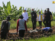 Serap Penganguran, Jokowi Perintakan Kepala Daerah Perbanyak Program Padat Karya