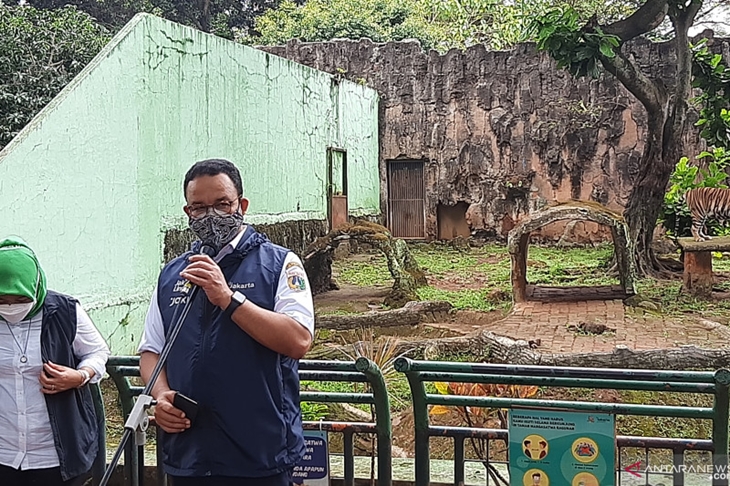 Gubernur DKI Jakarta Anies Baswedan saat mengunjungi Taman Margasatwa Ragunan, Jakarta Selatan, Minggu (1/8/2021). (ANTARA/Sihol Hasugian)