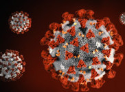 Guru Besar Statistika UGM Prediksi Wabah COVID-19 Berakhir Mei 2020