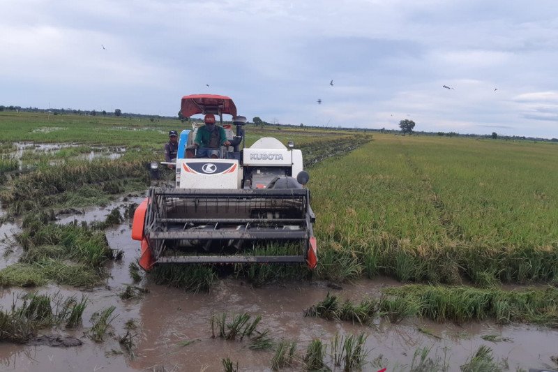 Kemiskinan Didominasi Para Petani