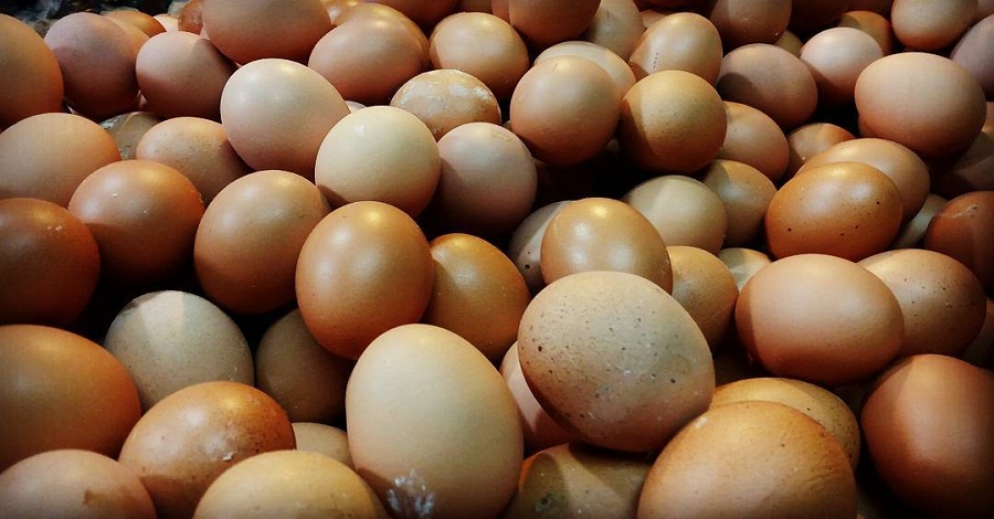 Telur. (Intagram/aliin1804)