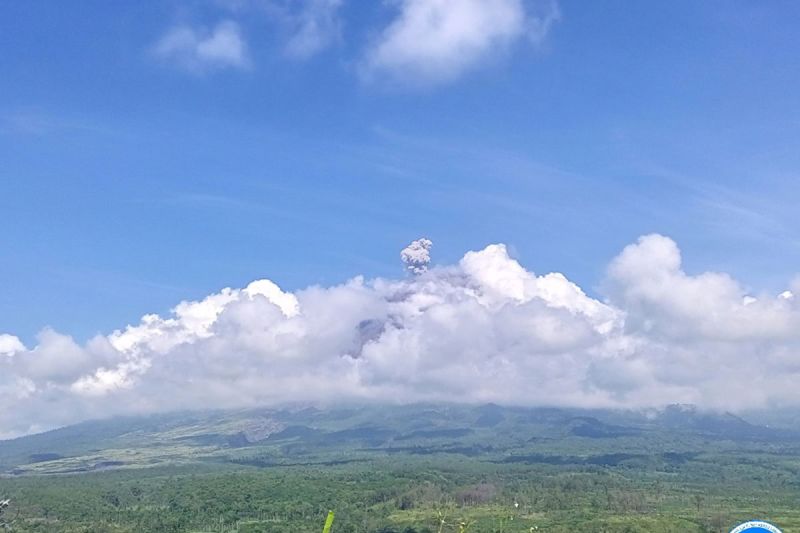 Gunung Semeru Erupsi Setinggi 800 Meter