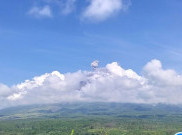 Gunung Semeru Erupsi Setinggi 800 Meter