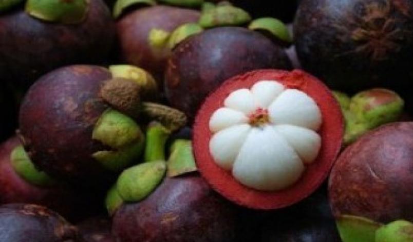 Top, Manggis Buleleng Kuasai Pasar Tiongkok