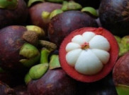 Top, Manggis Buleleng Kuasai Pasar Tiongkok