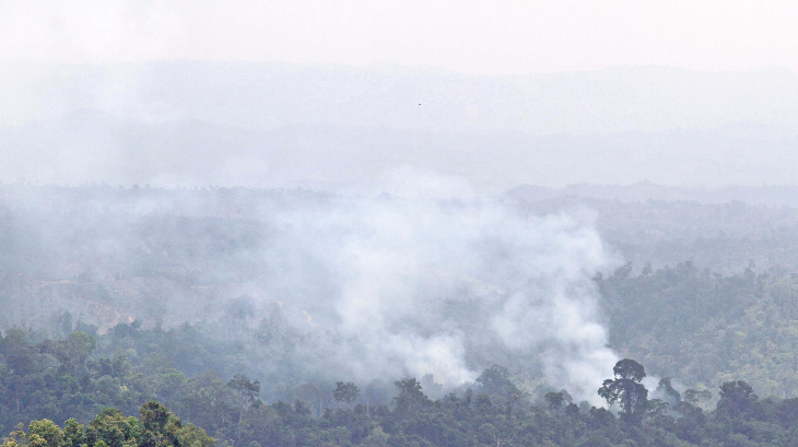 Kebakaran lahan hutan