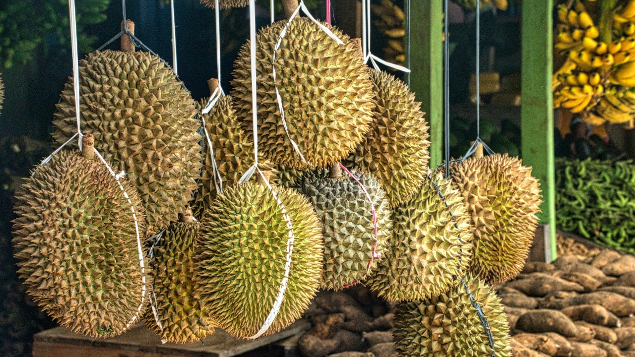 Ahli Gizi Bantah Mitos Durian Tinggi Kolesterol