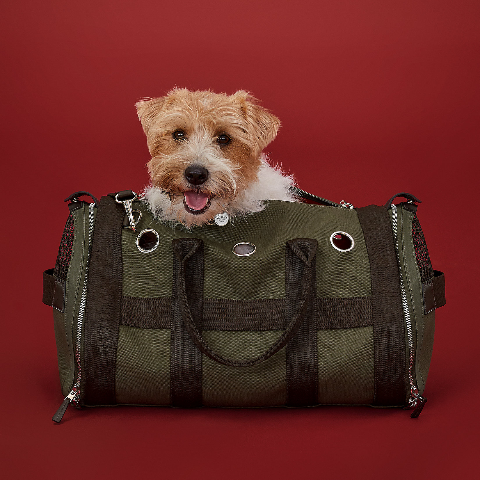 Hermes carrying-bag-for-dogs. (Foto Hermes)