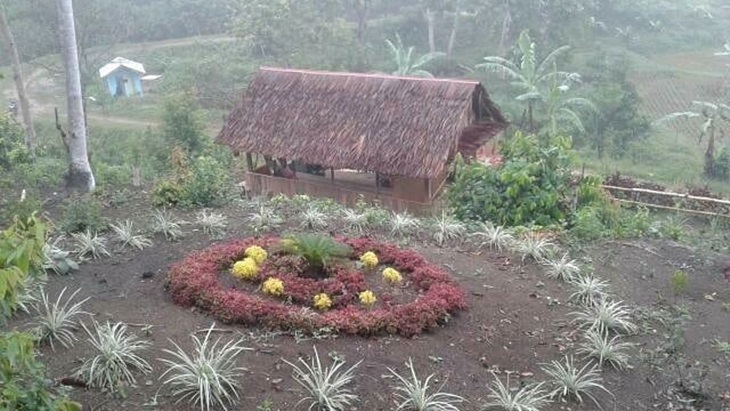 Rumah Pohon Literasi Pagaruyuang. (Instagram/@rumahpohonliterasi)