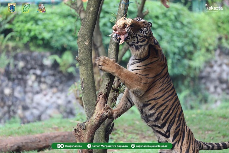ragunan