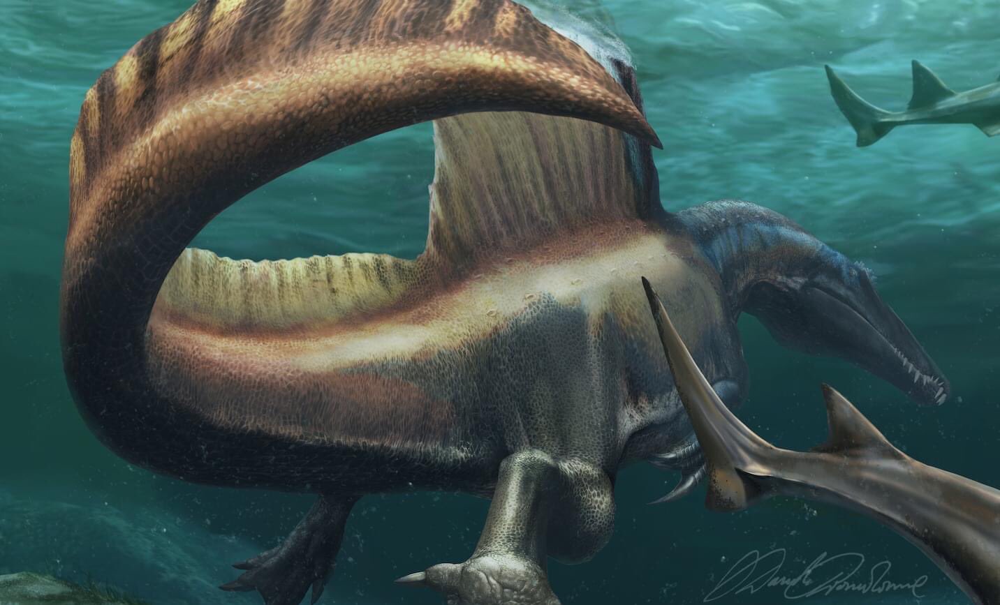 Spinosaurus