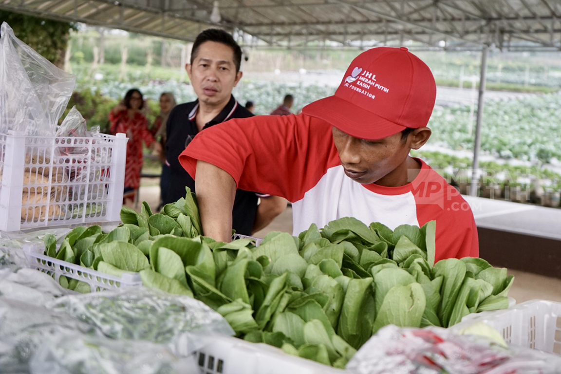 Anggaran Pertanian Naik, PKB Sebut Harus Fokus ke Petani Milenial
