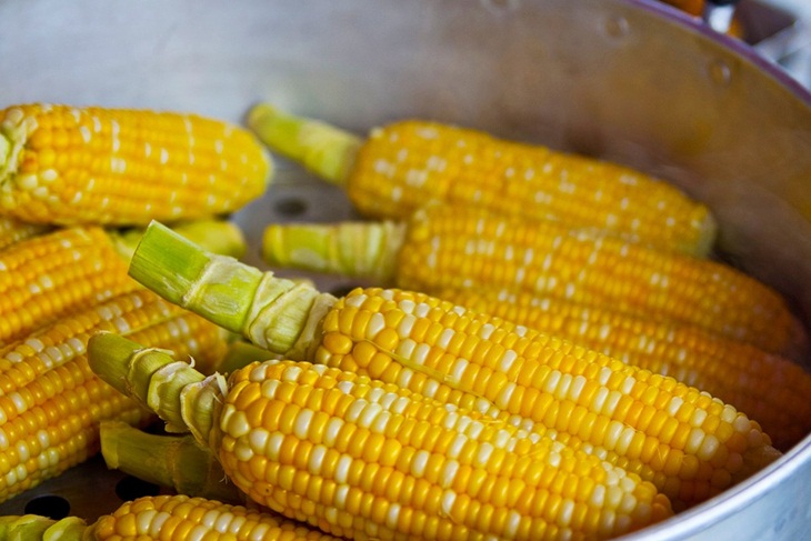 Jagung. (Foto: Pixabay/keem1201)