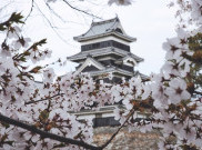 Sakura Membungkus Anime Romantis