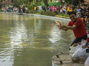 Djarot Lepas Ikan Koi Blitar di Situ Lembang 