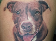 Tato Anjing Buat Dog Lovers, Imut Banget!