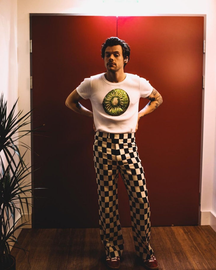 Harry Styles akan Jadi Mata Kuliah di Texas State University