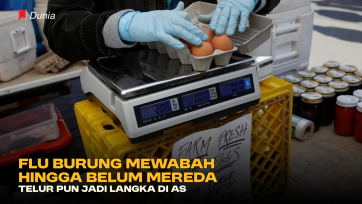 Flu Burung Mewabah hingga belum Mereda, Telur pun jadi Langka di AS